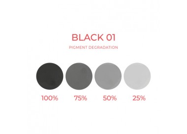 BLACK 01 - Artyst - 10ml - Conforme REACH artyst by cheyenne