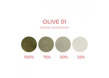 OLIVE 01 (Sopracciglia) - Artyst - 10ml - Correttore PMU REACH artyst by cheyenne