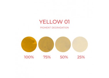 YELLOW 01 (Sopracciglia) - Artyst - 10ml - Correttore PMU REACH artyst by cheyenne
