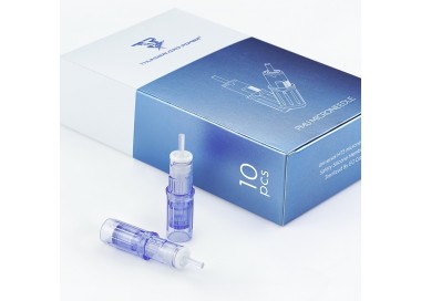 MATERIALE SCADUTO - Utilizzare Solo per Esercitazione | 5*5 mm - Cartucce THUNDERLORD Power Needling - 10pz.