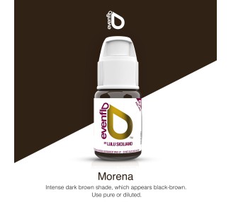 Evenflo BLONDE 2 BRUNETTE Set - Perma Blend Luxe - 4x15ml - Pigmenti PMU REACH evenflo