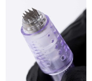 42 Punte - Cartucce EZ VENUS Microneedle - Ø 0,25mm - L 2,0mm - 20pz. ez tattoo