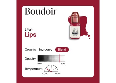 BOUDOIR - Perma Blend Luxe - 15ml - Pigmento PMU REACH perma blend