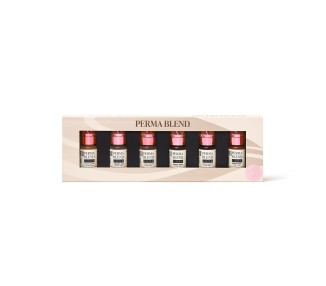READY, SET, GO Pre-Modified Set - Perma Blend Luxe - 6x15ml - Pigmenti PMU REACH perma blend