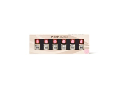 READY, SET, GO Pre-Modified Set - Perma Blend Luxe - 6x15ml - Pigmenti PMU REACH perma blend