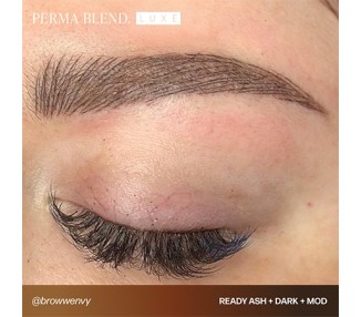 READY, SET, GO Pre-Modified Set - Perma Blend Luxe - 6x15ml - Pigmenti PMU REACH perma blend