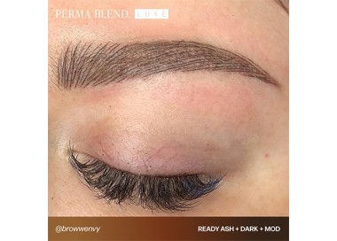 READY, SET, GO Pre-Modified Set - Perma Blend Luxe - 6x15ml - Pigmenti PMU REACH perma blend