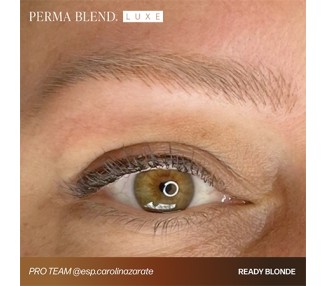 READY, SET, GO Pre-Modified Set - Perma Blend Luxe - 6x15ml - Conforme REACH perma blend