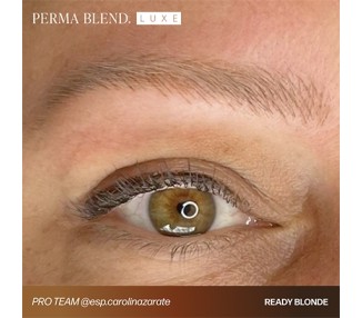 READY, SET, GO Pre-Modified Set - Perma Blend Luxe - 6x15ml - Pigmenti PMU REACH perma blend