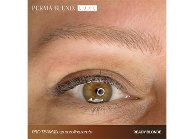 READY, SET, GO Pre-Modified Set - Perma Blend Luxe - 6x15ml - Pigmenti PMU REACH perma blend