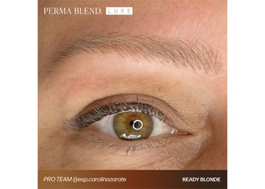 READY, SET, GO Pre-Modified Set - Perma Blend Luxe - 6x15ml - Conforme REACH perma blend