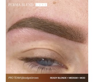 READY, SET, GO Pre-Modified Set - Perma Blend Luxe - 6x15ml - Pigmenti PMU REACH perma blend