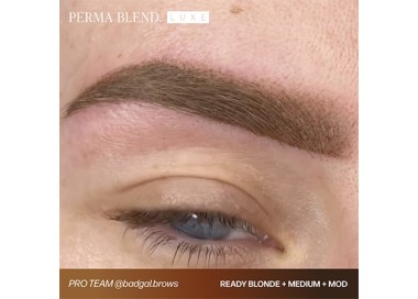 READY, SET, GO Pre-Modified Set - Perma Blend Luxe - 6x15ml - Pigmenti PMU REACH perma blend
