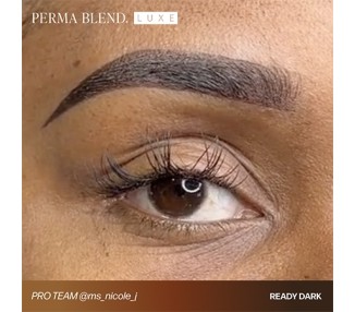 READY, SET, GO Pre-Modified Set - Perma Blend Luxe - 6x15ml - Pigmenti PMU REACH perma blend
