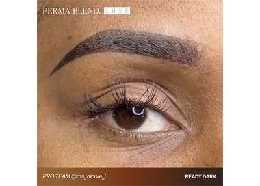 READY, SET, GO Pre-Modified Set - Perma Blend Luxe - 6x15ml - Pigmenti PMU REACH perma blend
