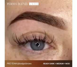 READY, SET, GO Pre-Modified Set - Perma Blend Luxe - 6x15ml - Pigmenti PMU REACH perma blend