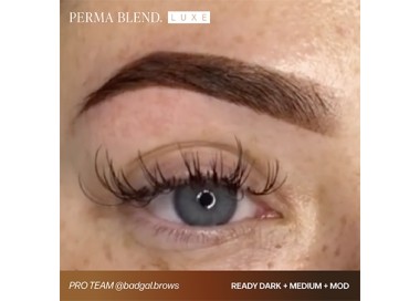 READY, SET, GO Pre-Modified Set - Perma Blend Luxe - 6x15ml - Pigmenti PMU REACH perma blend