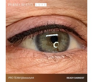 READY, SET, GO Pre-Modified Set - Perma Blend Luxe - 6x15ml - Pigmenti PMU REACH perma blend