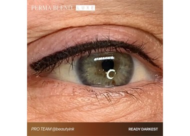 READY, SET, GO Pre-Modified Set - Perma Blend Luxe - 6x15ml - Pigmenti PMU REACH perma blend