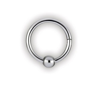 SS 316 HINGED BALL CLOSURE RING