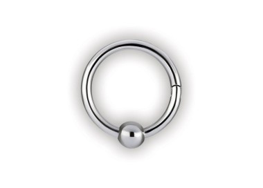 SS 316 HINGED BALL CLOSURE RING
