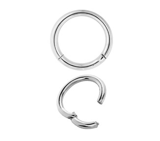 SS 316 CLICK SEGMENT RING