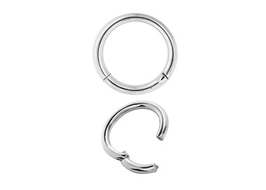 SS 316 CLICK SEGMENT RING