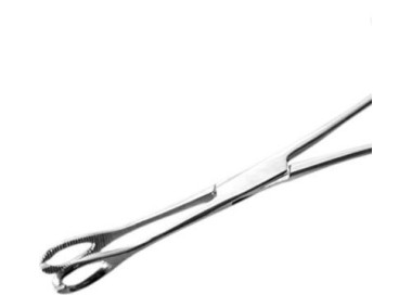 Pinza Ovale Aperta