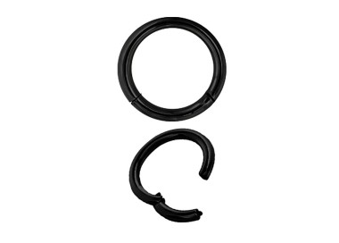 Bk 316 Click Segment Ring