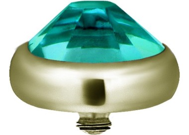 Gd Tt Flat Disc For Dermal Anchor