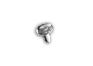 BIOFLEX CLEAR PUSH FIT LABRET HEADS 2mm