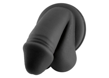 Anatomic Display Genital Man