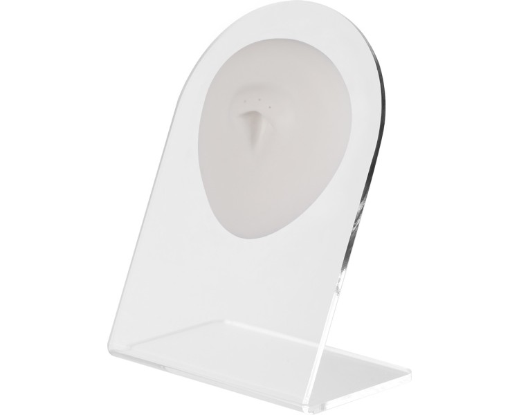 WHITE ANATOMIC DISPLAY BELLY WHITE ANATOMIC DISPLAY BELLY