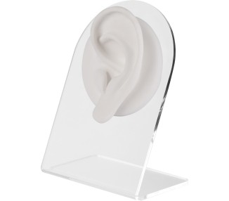 WHITE ANATOMIC DISPLAY EAR-L