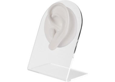 WHITE ANATOMIC DISPLAY EAR-L
