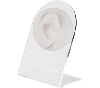 WHITE ANATOMIC DISPLAY EAR-R