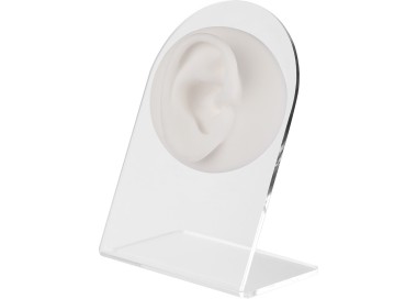 WHITE ANATOMIC DISPLAY EAR-R