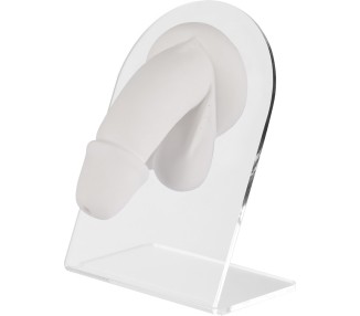 WHITE ANATOMIC DISPLAY GENITAL MAN