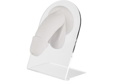 WHITE ANATOMIC DISPLAY GENITAL MAN