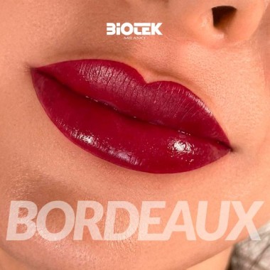 BORDEAUX - Biotek - 15ml - Pigmento PMU REACH 2
