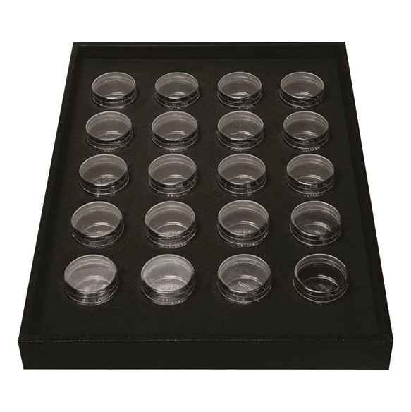 Vassoio Portaminuteria con 35 Contenitori - 35,5 x 25 x 3 cm