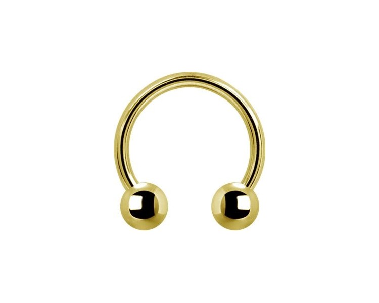 GD 316 CIRCULAR BARBELLS GD 316 CIRCULAR BARBELLS