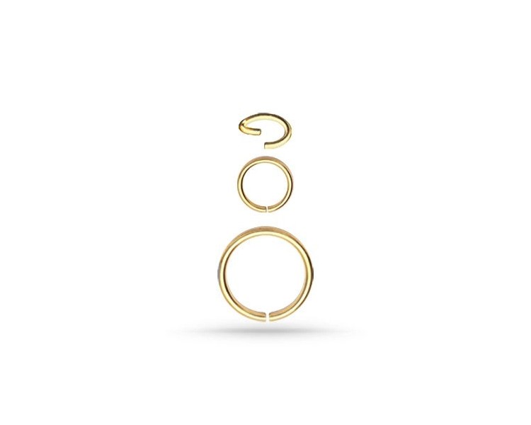 GD 316 CONTINUOUS RING GD 316 CONTINUOUS RING