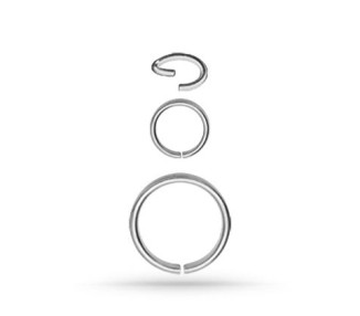 SS 316 CONTINUOUS RING
