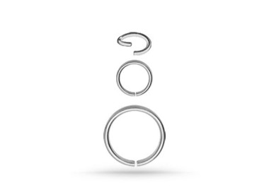 SS 316 CONTINUOUS RING