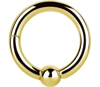 GD 316 HINGED BALL CLOSURE RING