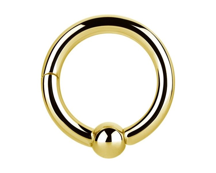 GD 316 HINGED BALL CLOSURE RING GD 316 HINGED BALL CLOSURE RING