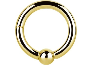 GD 316 HINGED BALL CLOSURE RING