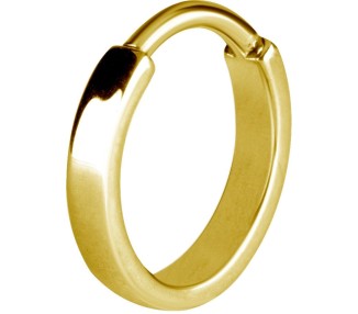 GD 316 HINGED RING (FLAT PROFILE)