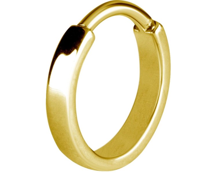GD 316 HINGED RING (FLAT PROFILE) GD 316 HINGED RING (FLAT PROFILE)